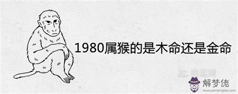 1980是什麼猴